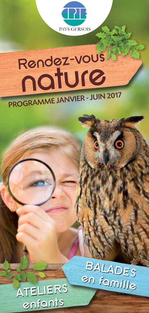 Le carnaval des animaux  Jeune Public  Ramdam Magazine