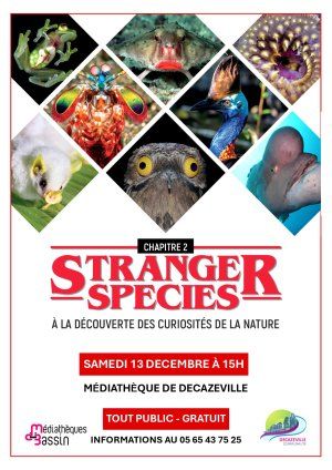 Stranger species | Chapitre 2 : A la découverte des curiosités de la nature