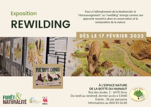 Rewilding