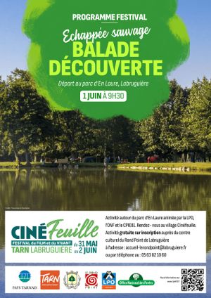 FESTIVAL CINFEUILLE