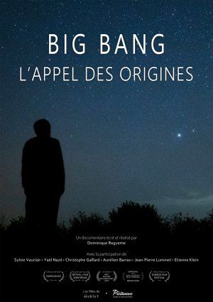 Projection - rencontre autour du film "Big Bang - L'appel des origines" de Dominique Regueme