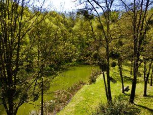 Visite guidée au Bois Noir à Aubin (12) : sortie nature et patrimoine