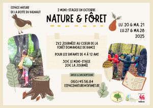 Mini-stages d'automne 2025 : Nature & Forêt