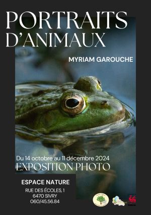 Portraits d'animaux