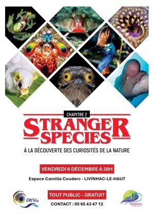 Stranger species : à la découverte des curiosités de la nature - Chapitre 2