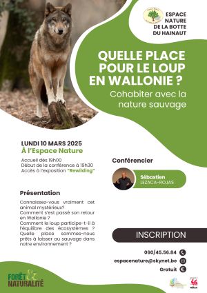 Conférence : Quelle place pour le loup en Wallonie ?