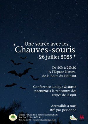 Une soirée avec les chauves-souris