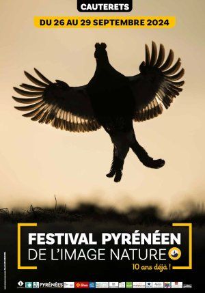 Le Festival pyrénéen de l'image nature fête ses 10 ans 