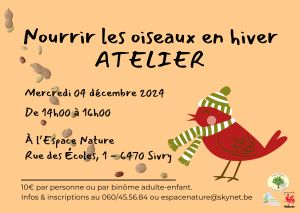 Nourrir les oiseaux en hiver