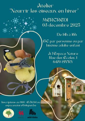 Nourrir les oiseaux en hiver