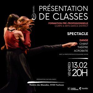 Spectacle pluridisciplinaire : Danse, théâtre, chant...