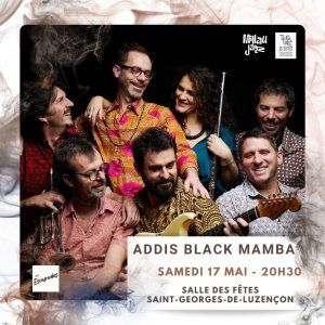 Addis Black Mamba | Heptahedron