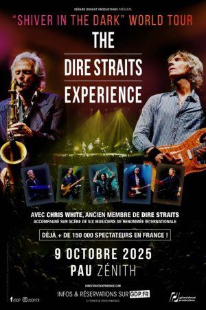 TH DIRE STRAITS EXPERIENCE 