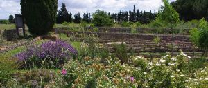 Visite 20′ chrono du jardin des potiers