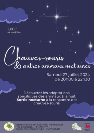 Chauves-souris et autres animaux nocturnes