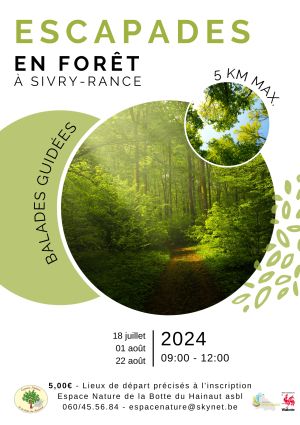 Escapades en forêt à Sivry-Rance 2024