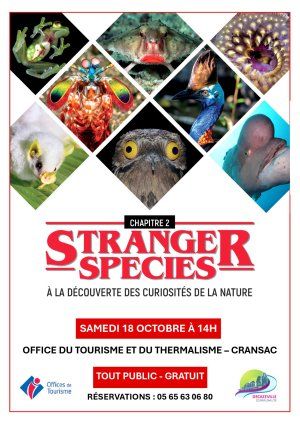 Stranger species : à la découverte des curiosités de la nature