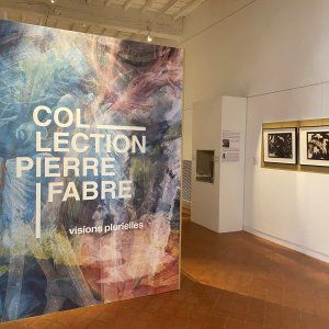 Week-end de clôture de l'exposition "Collection Pierre Fabre" à la Cité de Sorèze