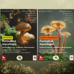 Mycologie Formations 2026