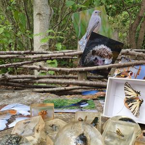 Atelier « Les bêbêtes du jardin »